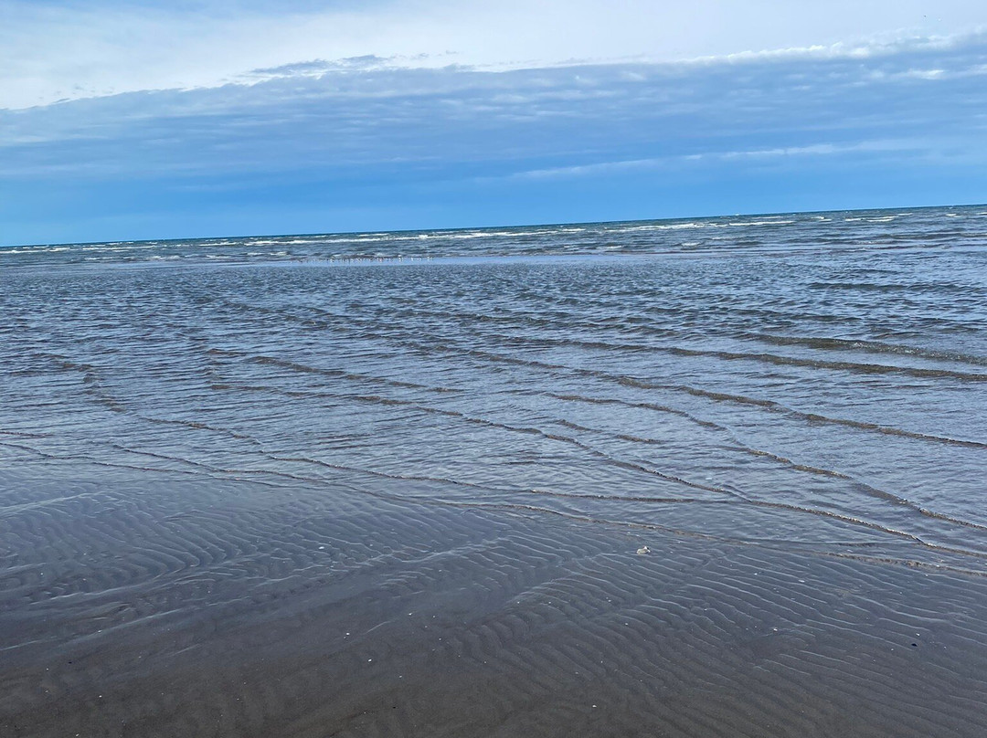 Giardino Botanico Litoraneo di Porto Caleri-罗索利纳必去景点