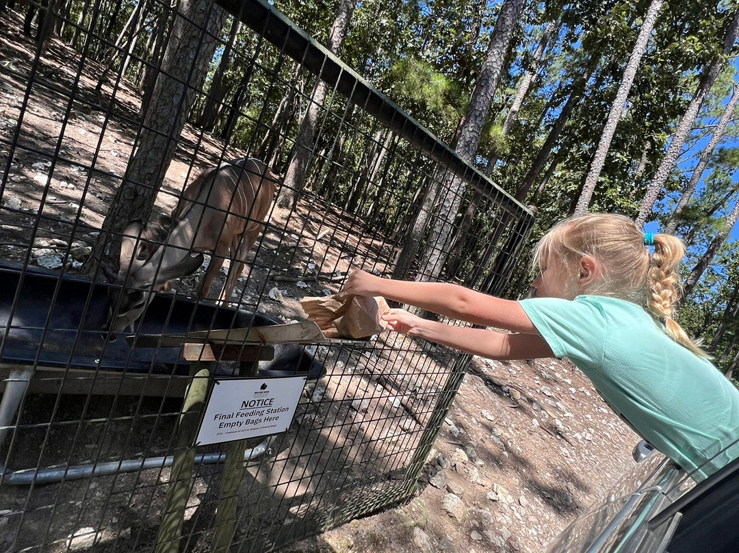Beavers Bend Safari Park-Hochatown必去景点