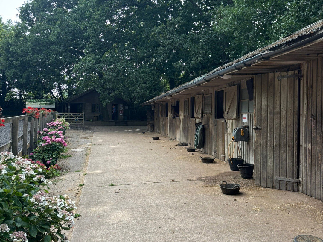Budleigh Salterton Riding School-Budleigh Salterton必去景点
