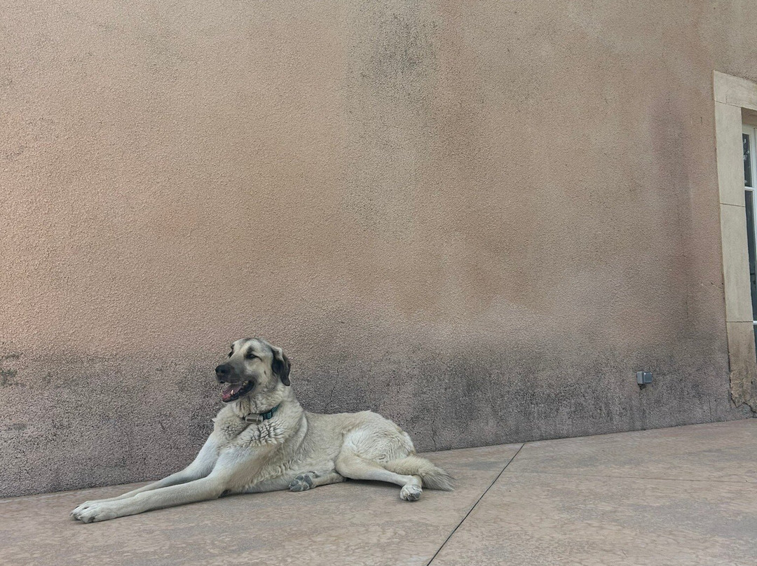 Château La Villatade主图