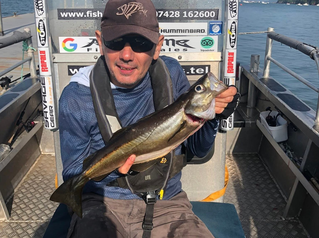 Awesome Fishing-Dale必去景点