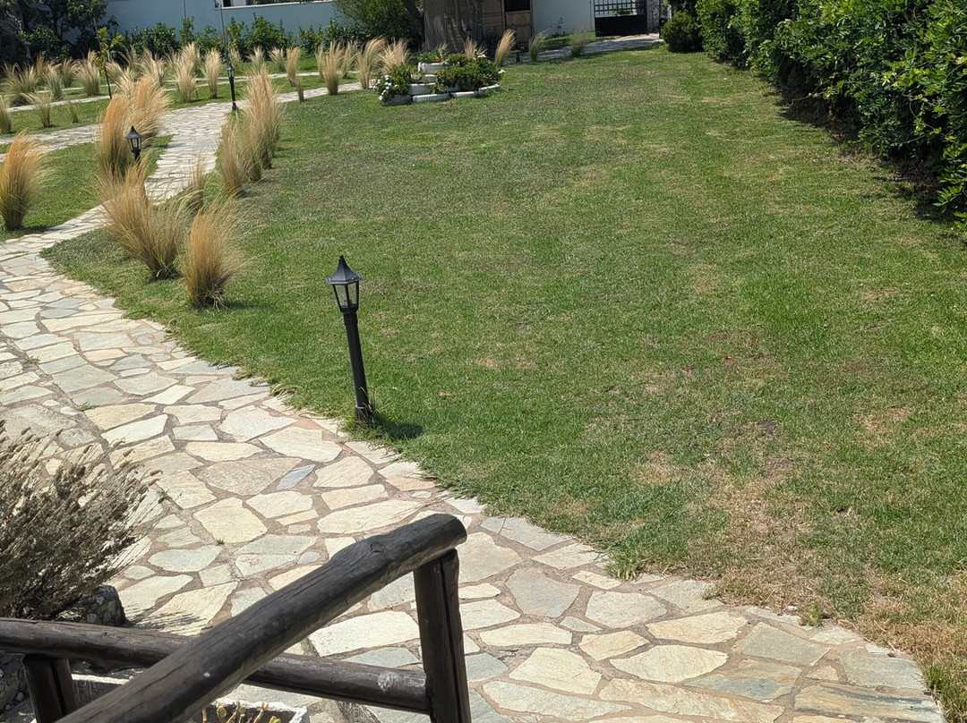 Elizabeth Studios主图