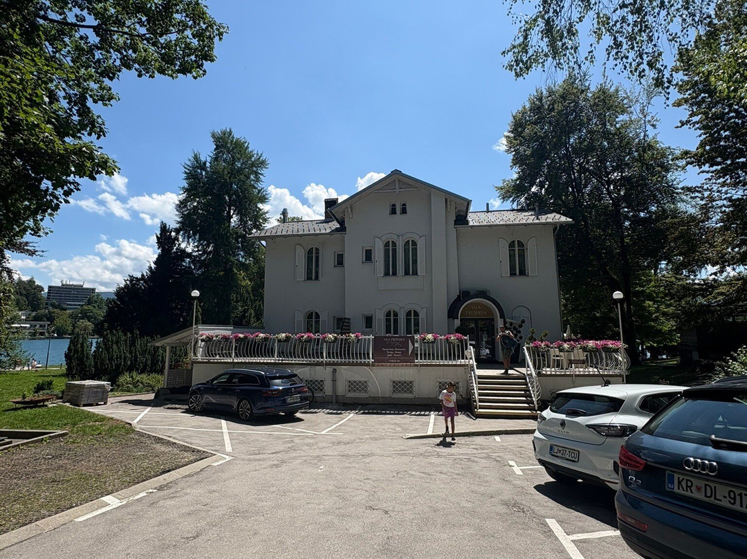 Vila Prešeren Bled主图