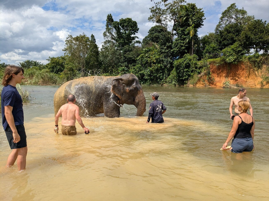 Khao Sok Elephant Conservation Centre