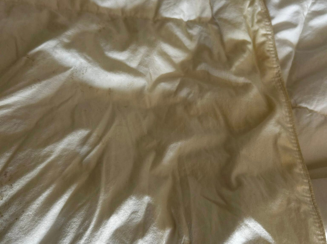 Quality Inn Seymour I-65主图