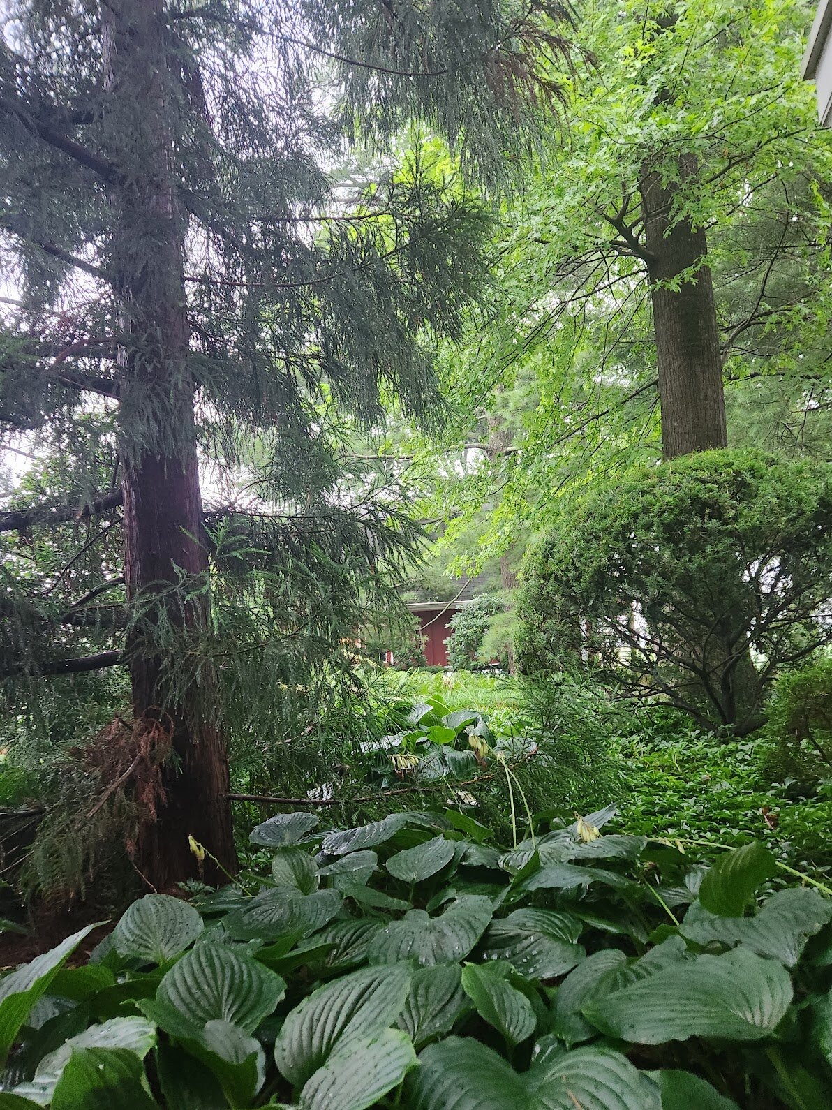 Smoketown Inn of Lancaster County-官方