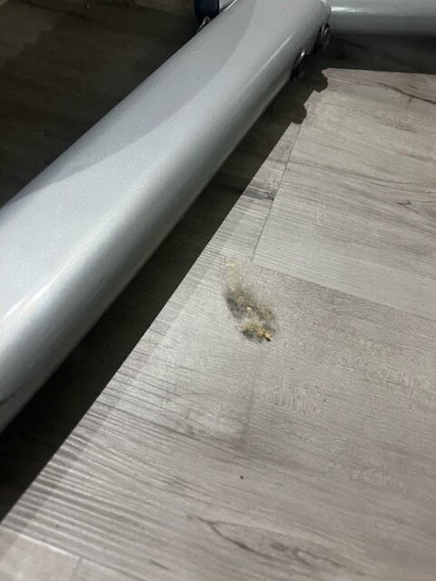 Baymont by Wyndham Green Bay主图