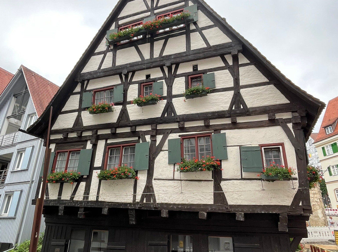 The Leaning House-乌尔姆必去景点