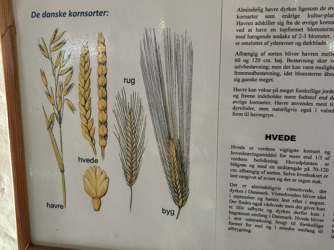 Tadre Molle-Hvalsoe必去景点