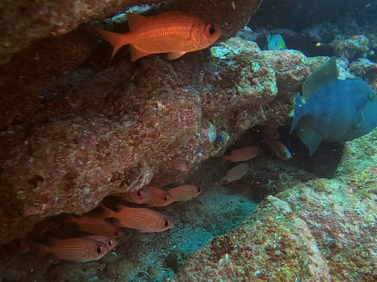 Ananda. Dive N' Flow-圣特雷莎必去景点