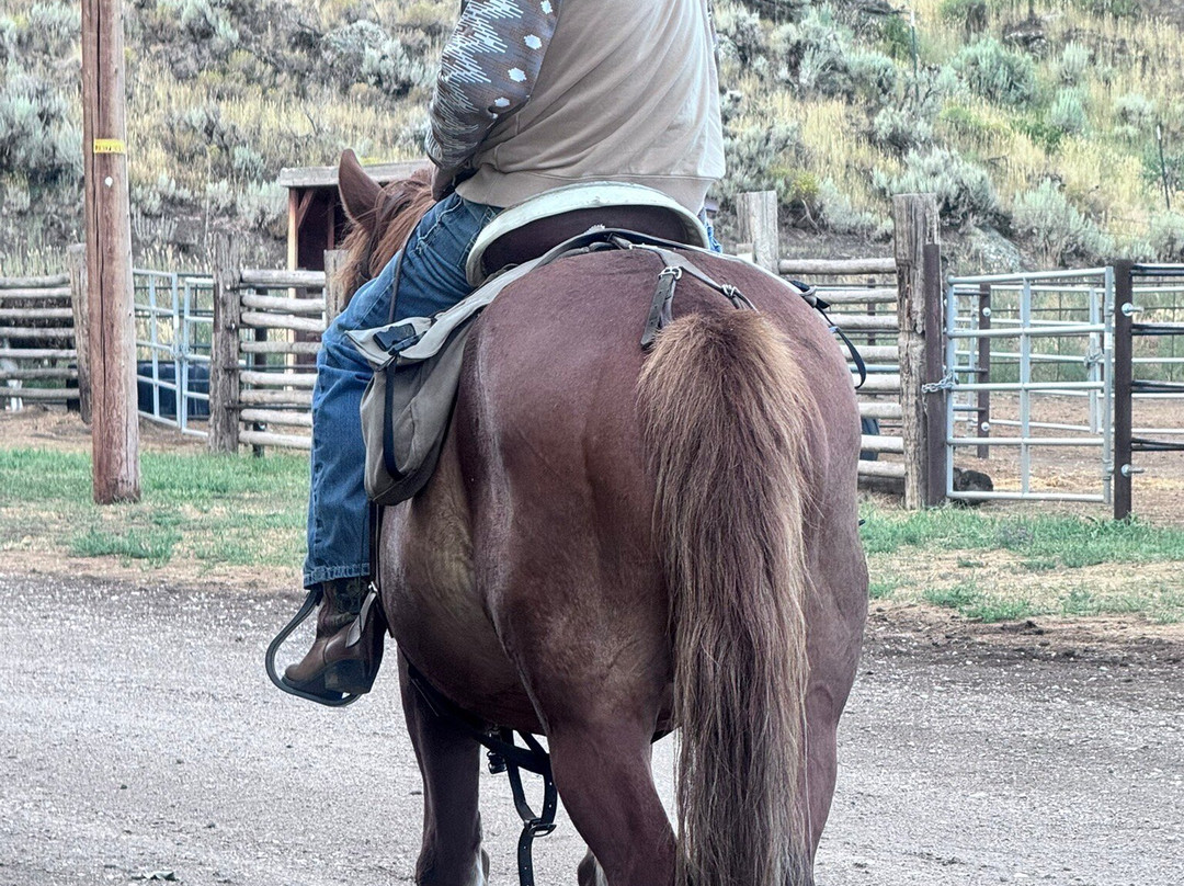 Rand Creek Ranch-Wapiti必去景点