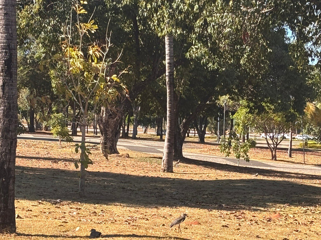 Araguaia Palace-Palmas必去景点