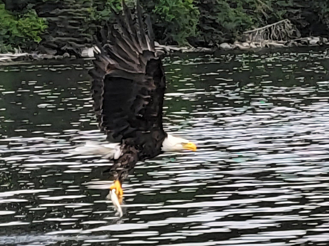 Four Seasons Tours-Cox's Cove必去景点