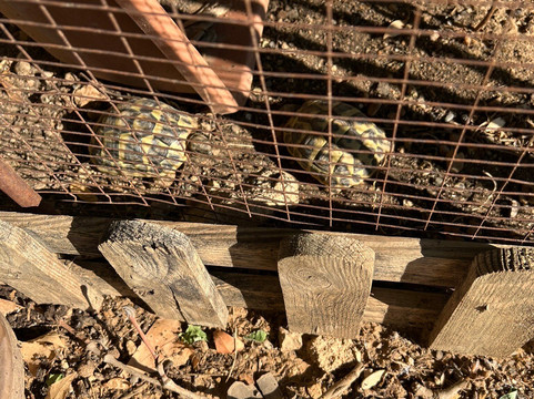 Le Relais de Pigasse主图