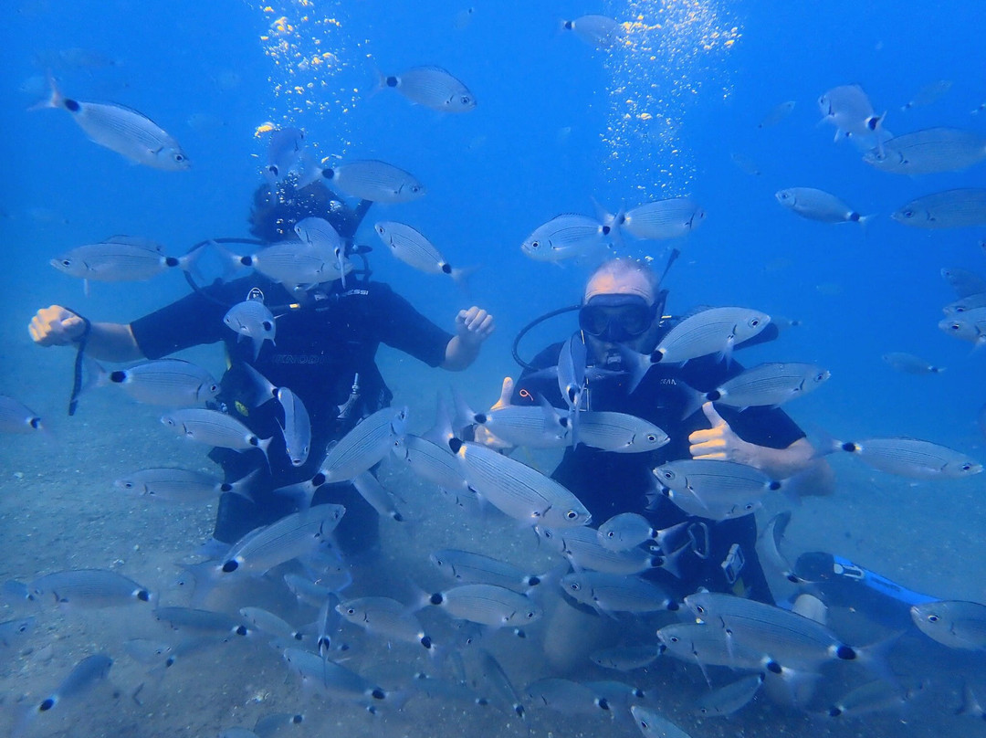 Kos Divers-Psalidi必去景点