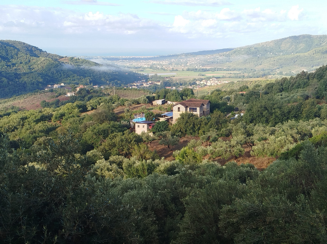 Agriturismo San Basilio主图