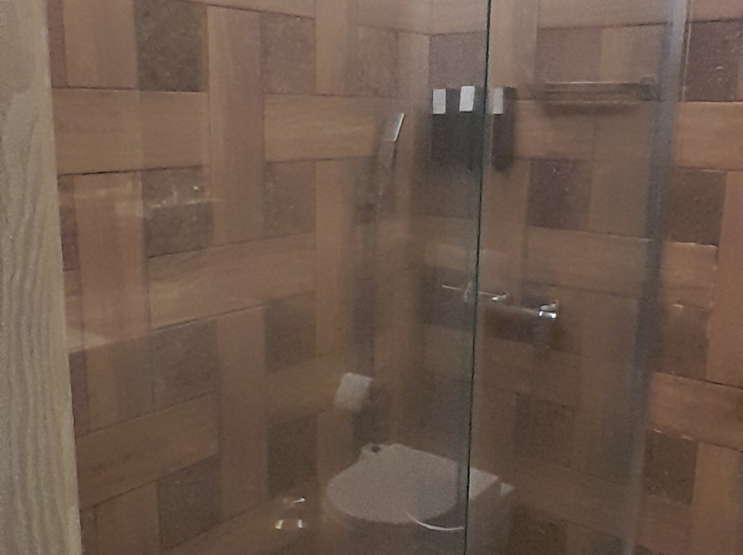 Polat Palandöken主图