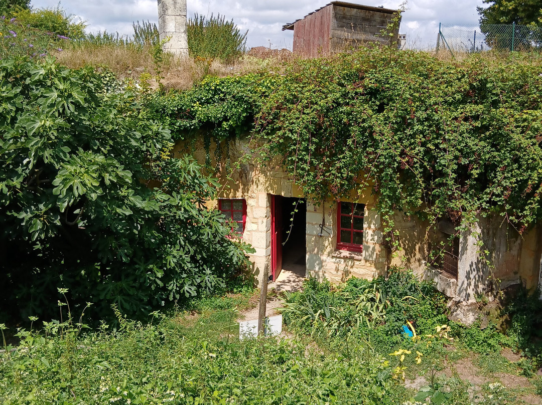 Maisons Troglodytes des Forges-Forges必去景点