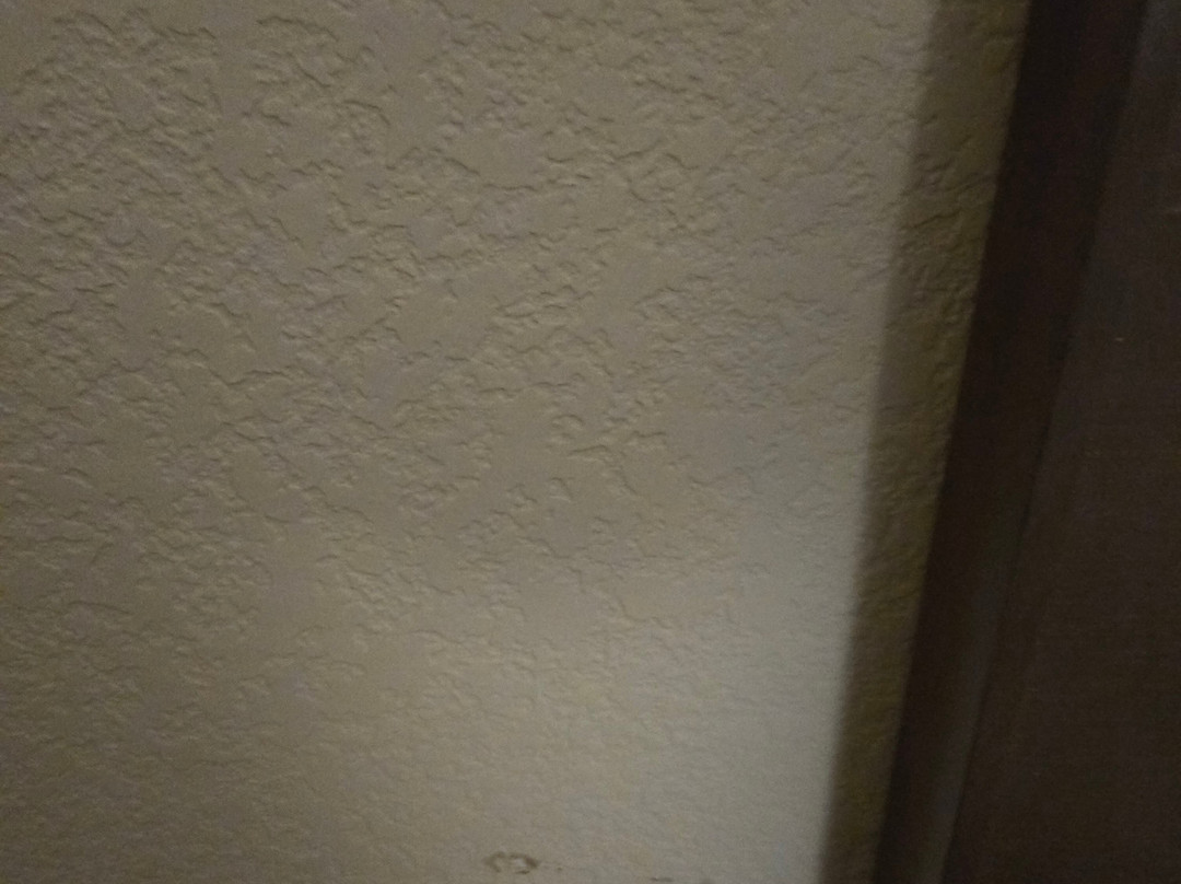 Baymont by Wyndham Corbin主图