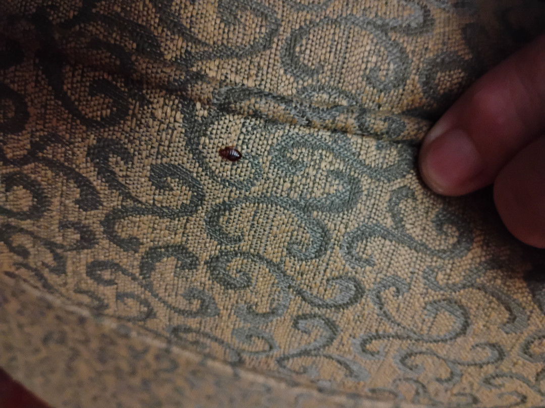 Baymont by Wyndham Cave City主图