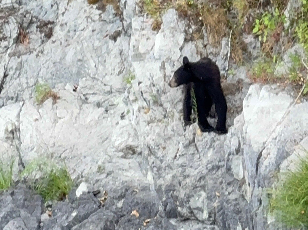Klamath River Jet Boat Tours-克拉马斯必去景点