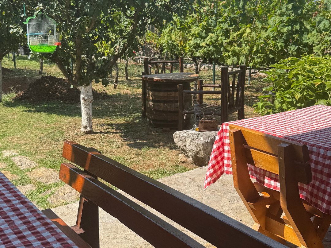 Winery TRADICIJA-Godinje必去景点