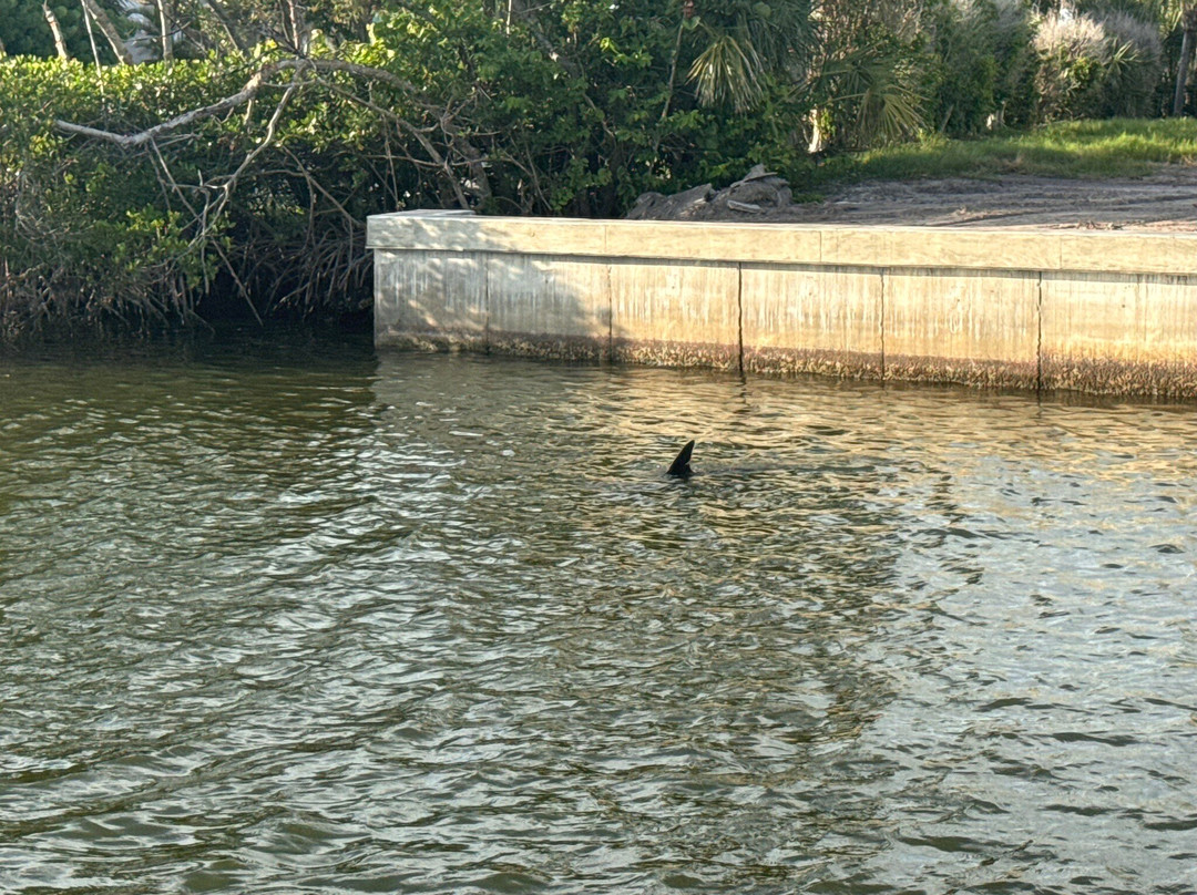 Gasparilla Boat Tours-恩格尔伍德必去景点