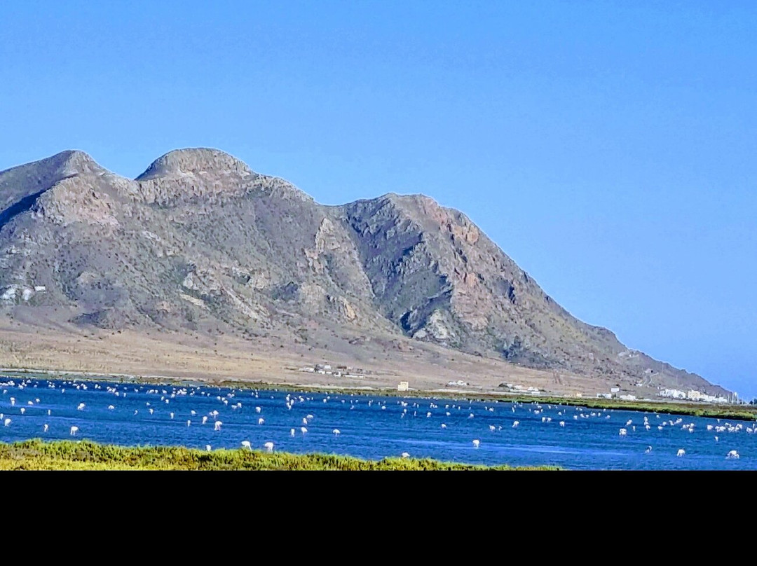 Las Salinas-加塔角必去景点