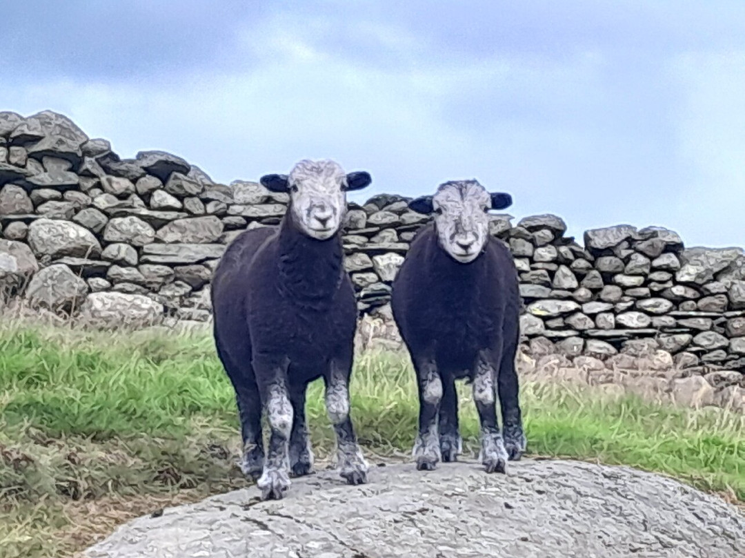 Cathedral Quarry (Cathedral Cave)-Little Langdale必去景点