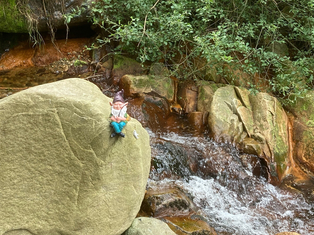 Carlingford Yoga-Carlingford必去景点
