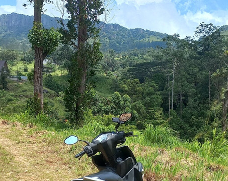 Freek Holidays-康提必去景点