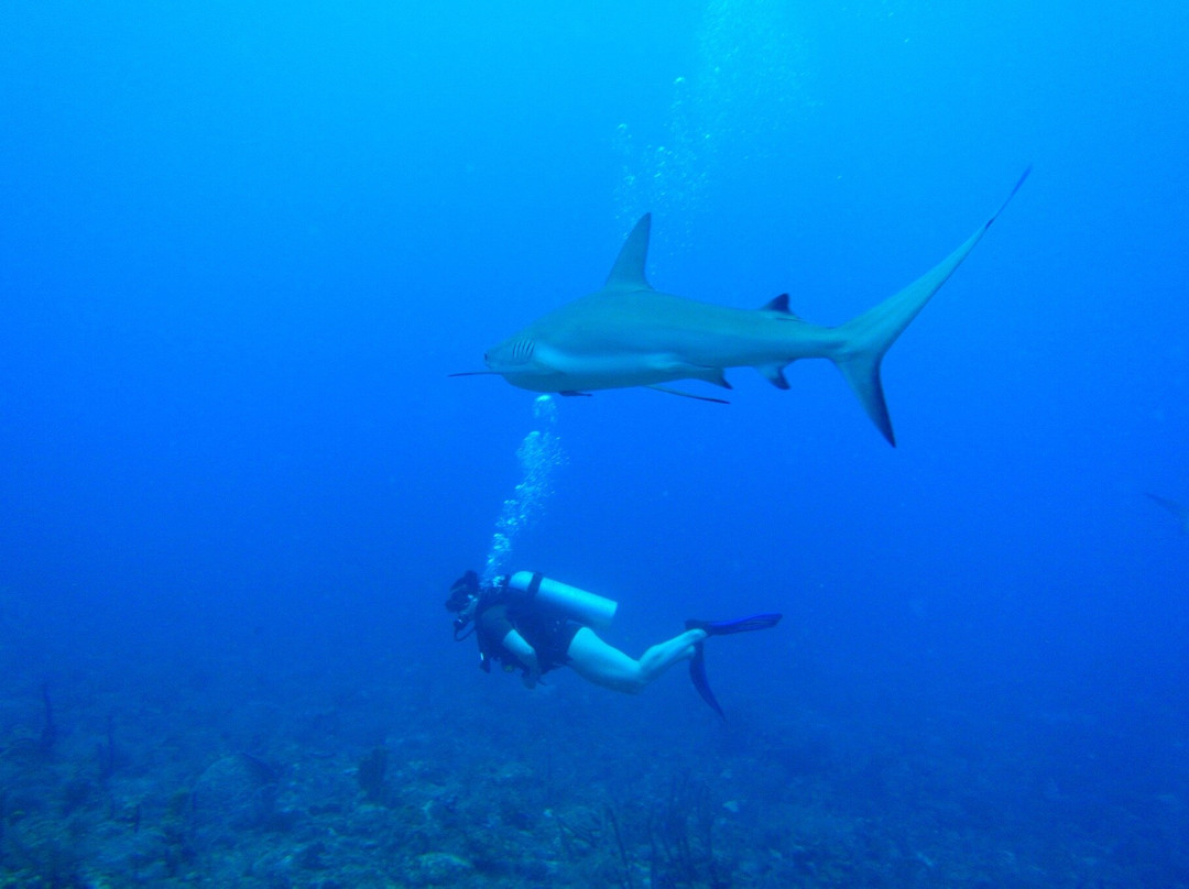 Anda Di Wata Dive School-Providencia Island必去景点