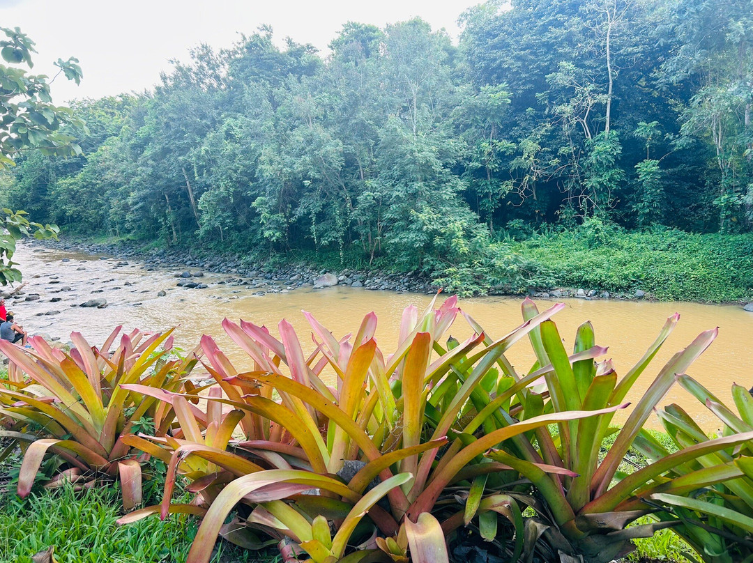 Carabali Rainforest Adventure Park-Luquillo必去景点
