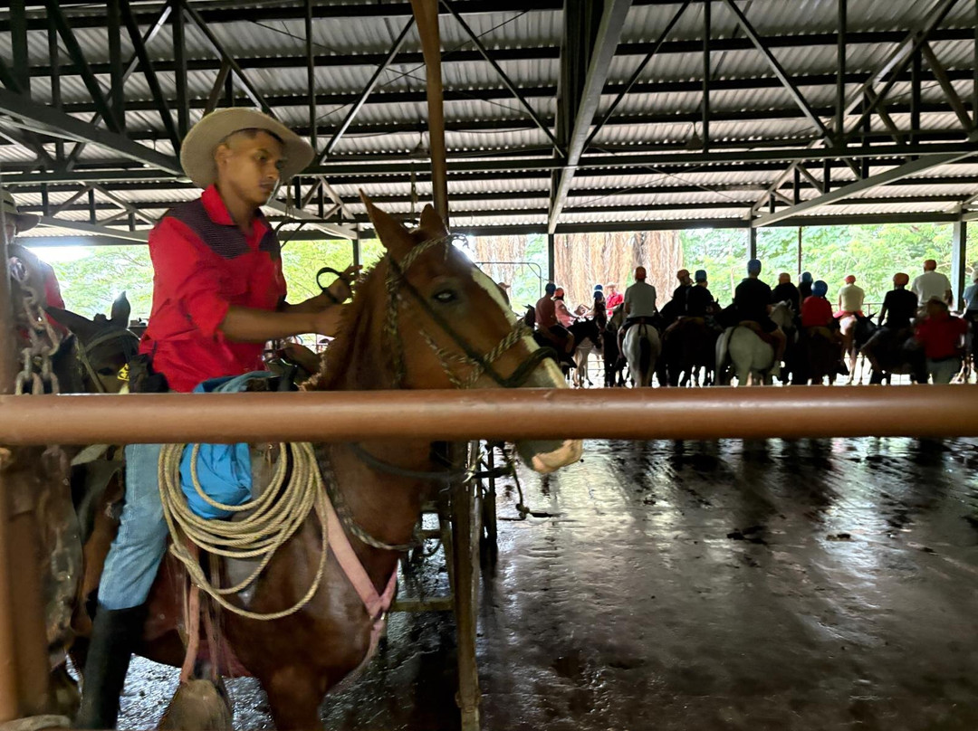 Hotel Hacienda Guachipelin主图