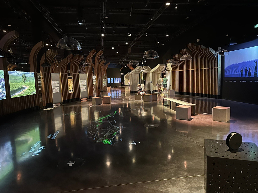 Cité des Climats & vins de Bourgogne-博讷必去景点