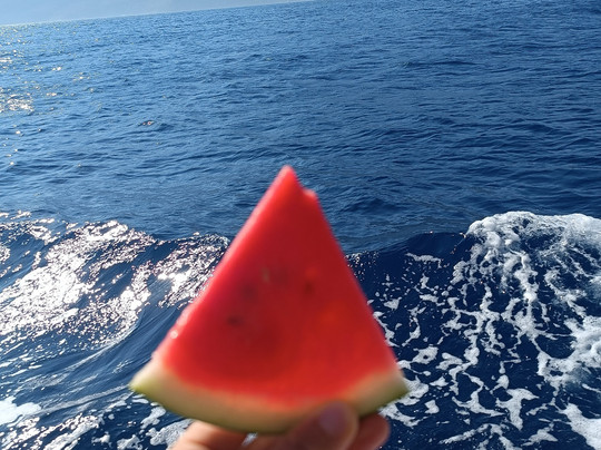 Adrasan Kelebek Tekne Turu-阿德拉桑必去景点