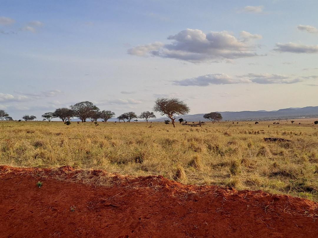Chideri Safari & Taxi Service-迪亚尼必去景点