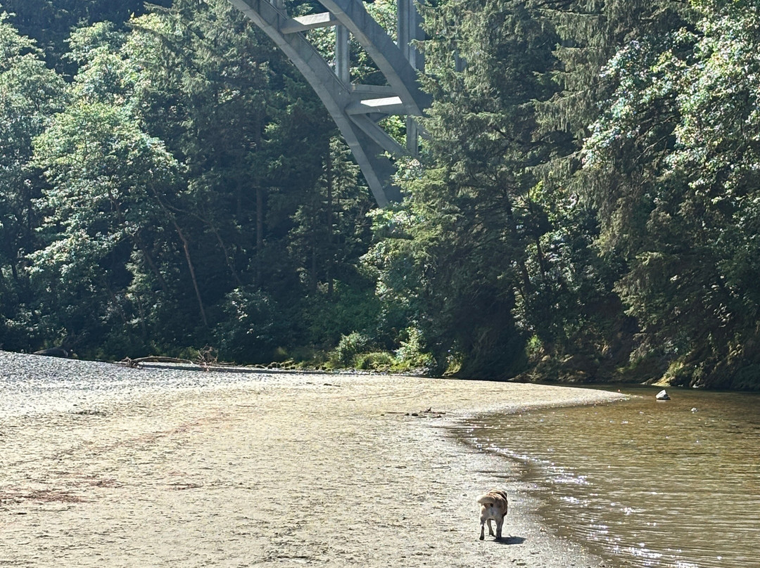 Heceta Beach-弗洛伦斯必去景点