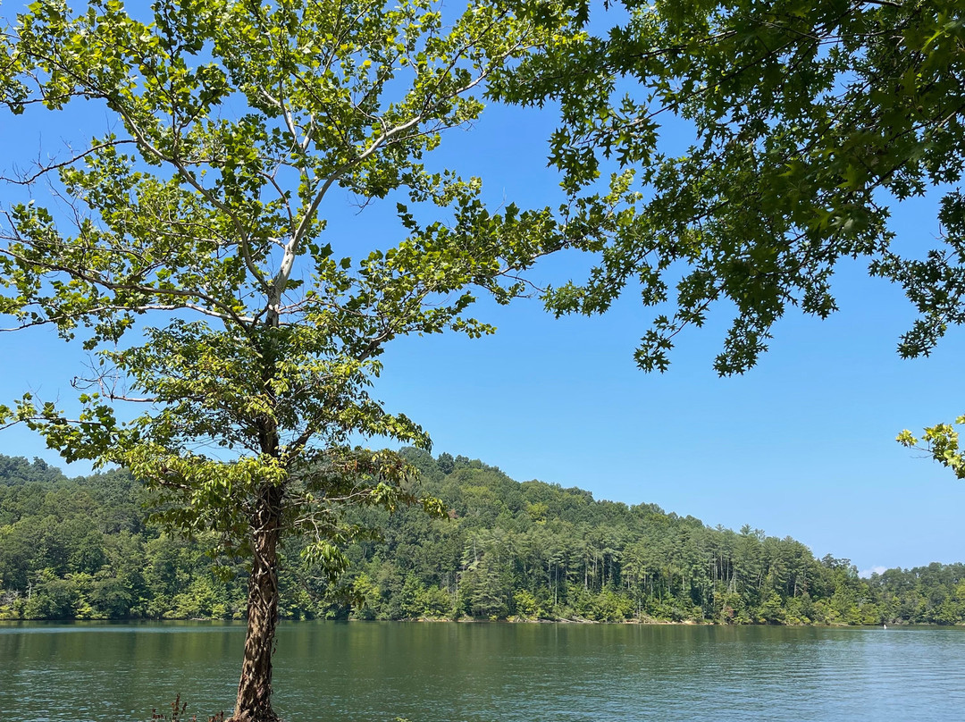 Paintsville Lake State Park-Staffordsville必去景点