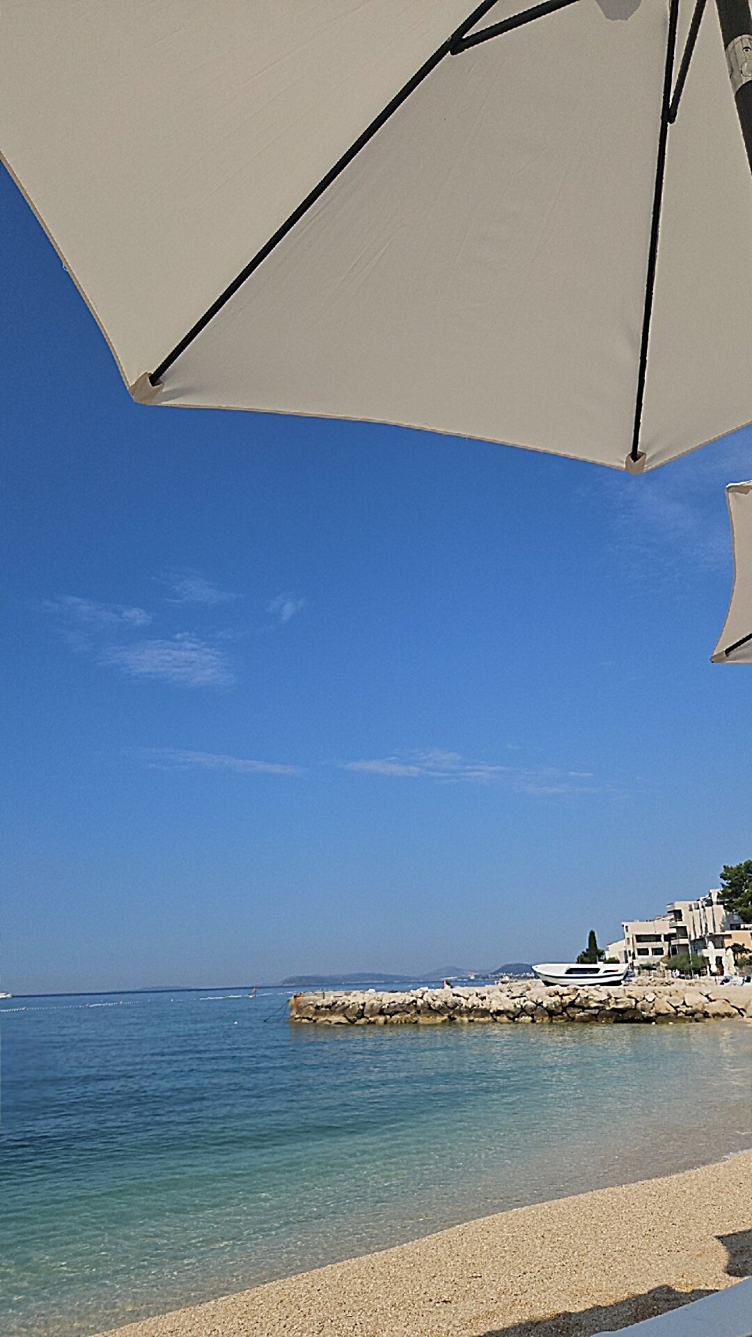 Pansion Martin-官方