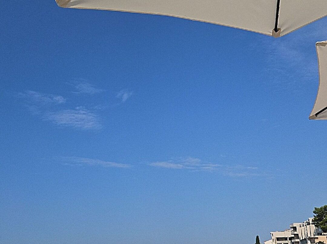 Pansion Martin主图