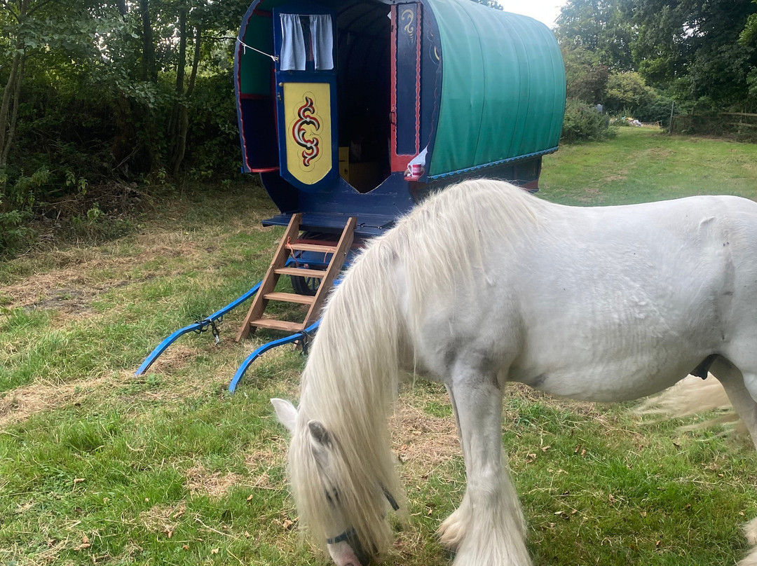 White Horse Gypsy Caravans-马尔堡必去景点