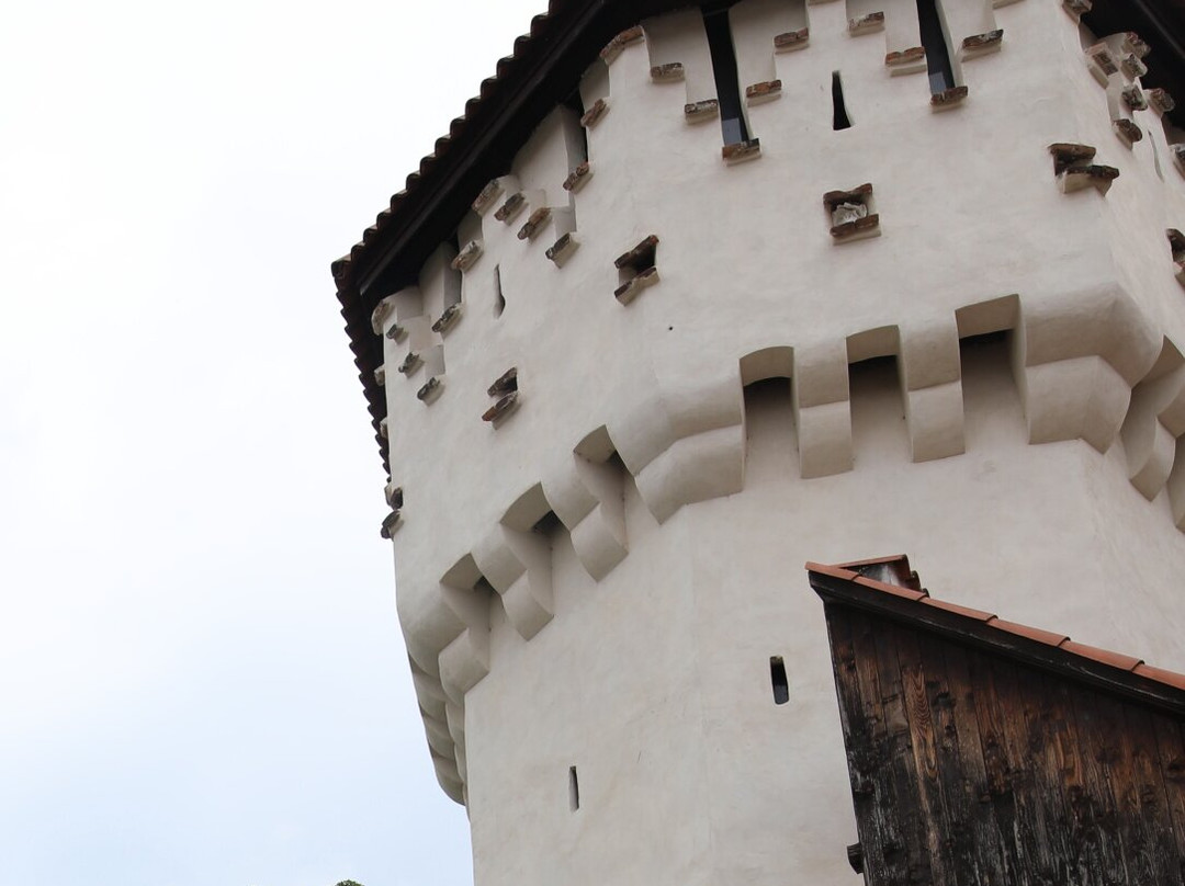 Turnul Dulgherilor-锡比乌必去景点