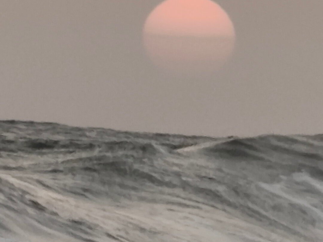 Ceylon Recall Tours-Homagama必去景点