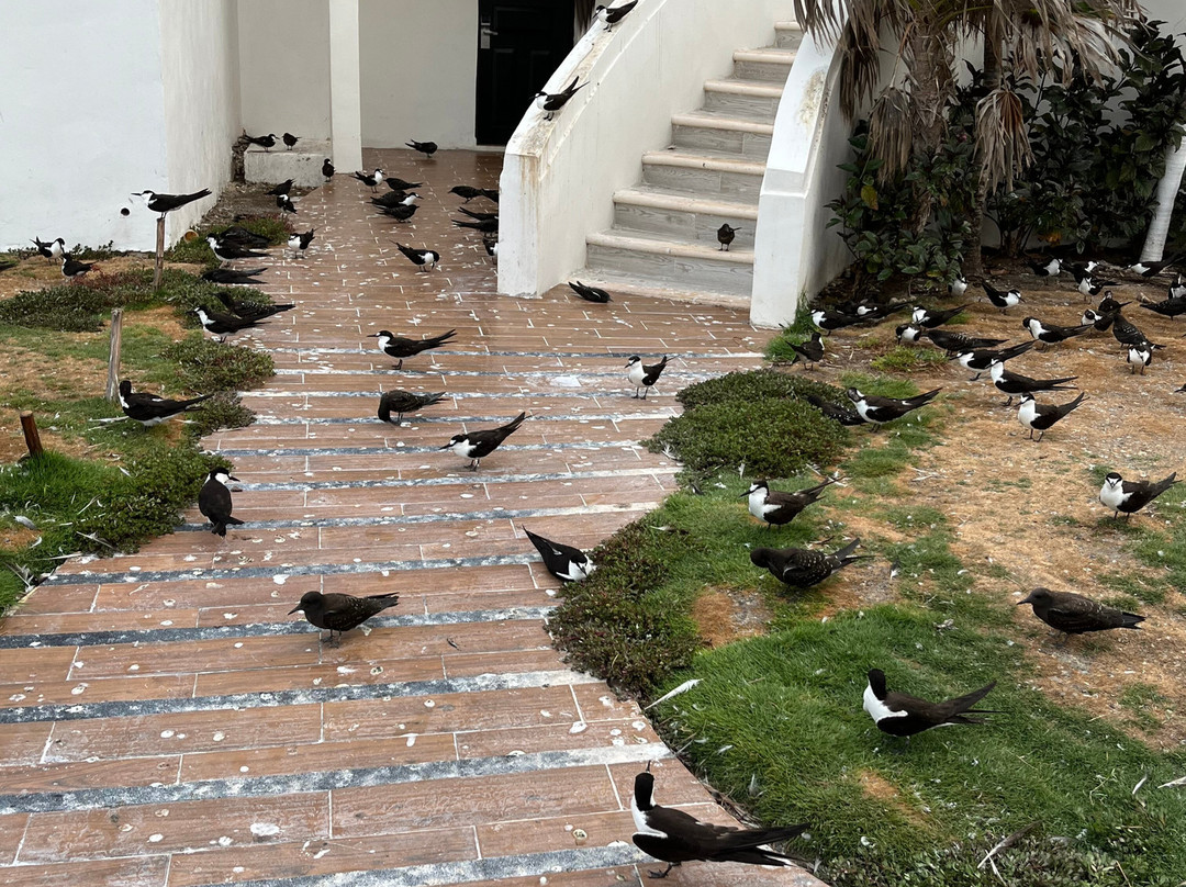 Mia Reef Isla Mujeres主图