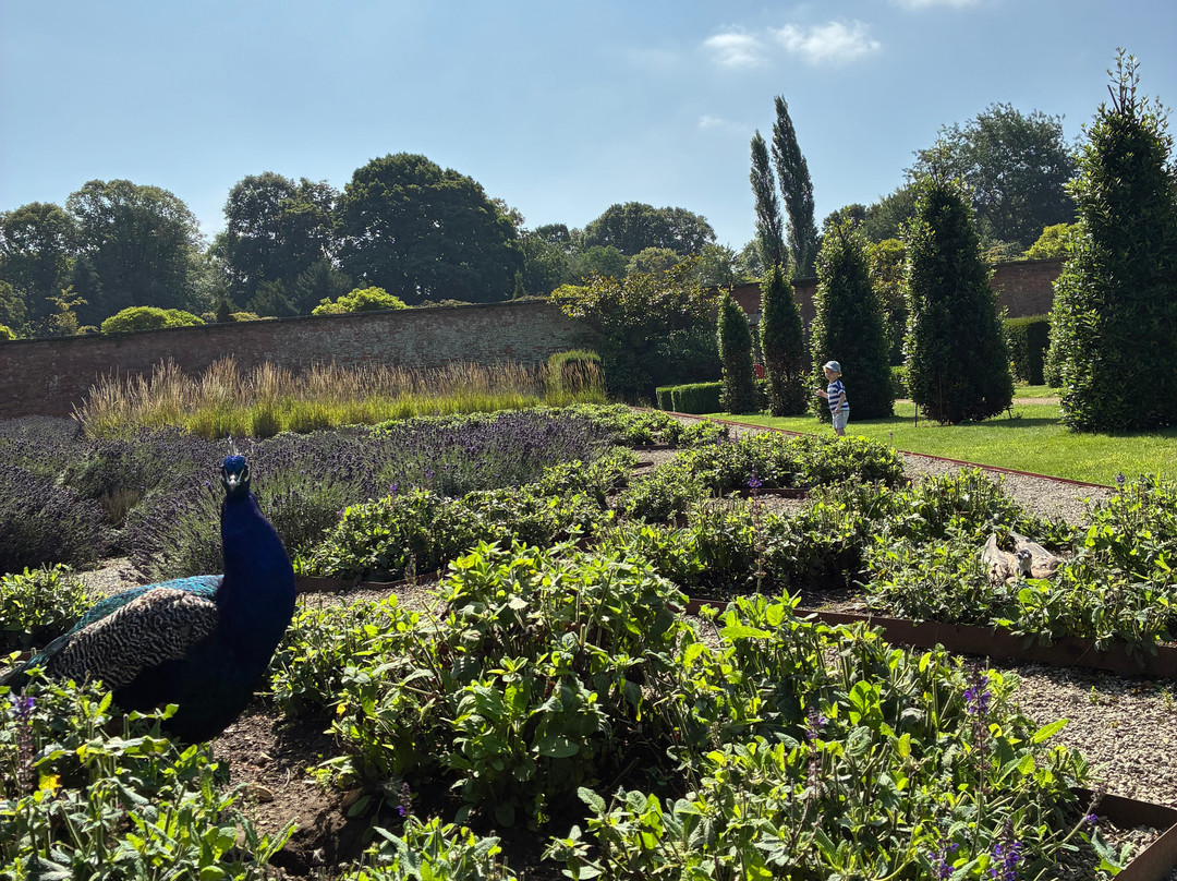 Elsham Hall Gardens and Country Park-Brigg必去景点