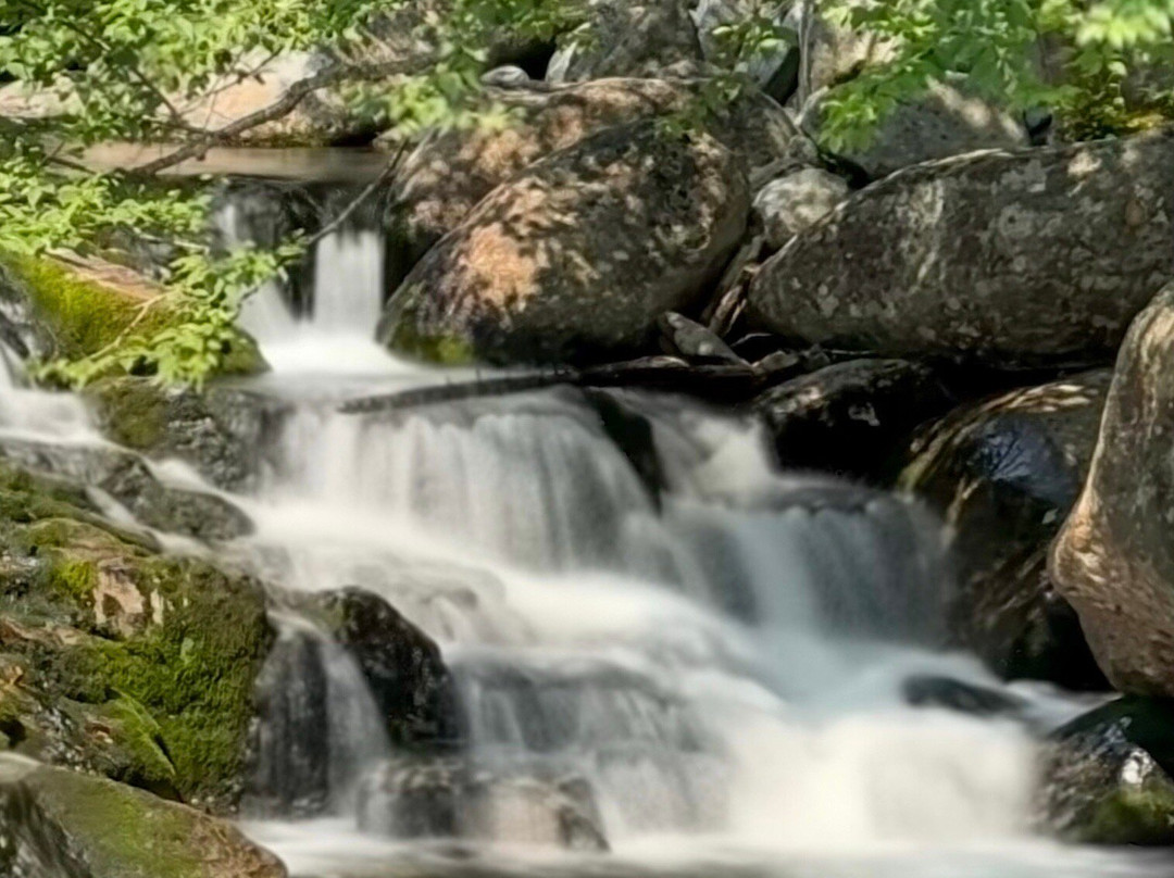 Profile Deluxe Motel主图