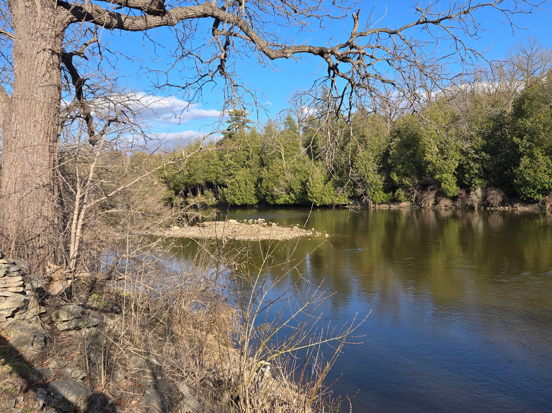 Downtown Elora-伊劳拉必去景点