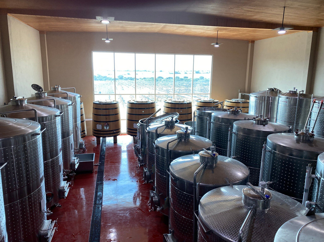 Tres Raíces-Dolores Hidalgo必去景点