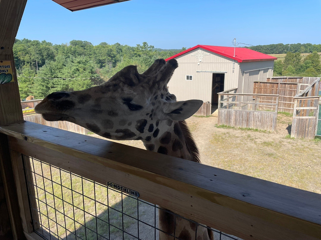 Animal Adventure Park-Harpursville必去景点